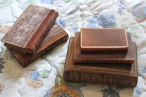 The volumes of Gulliver's Travels, the Irish Bible and three small volumes I obtained from the antiquarian bookseller in Paris.